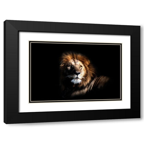 The Simber Black Modern Wood Framed Art Print with Double Matting by Fischer, Jie