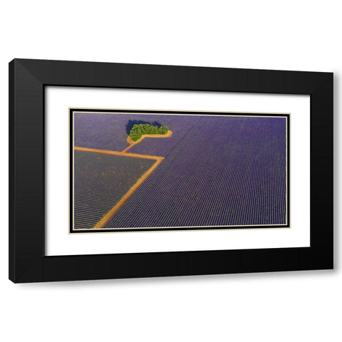 Lavender Graphic Black Modern Wood Framed Art Print with Double Matting by Pelissier, Marc