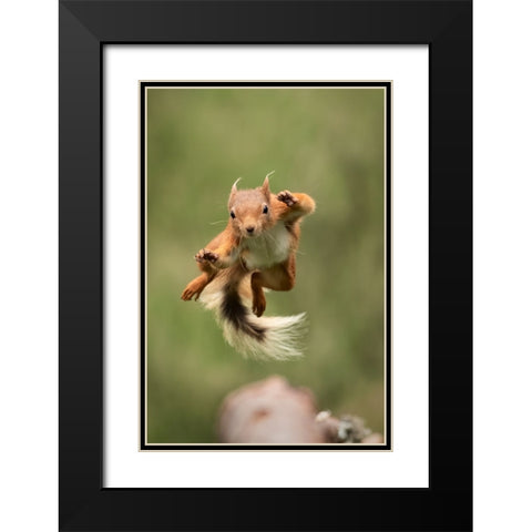 Ninja Dancing Black Modern Wood Framed Art Print with Double Matting by Ashton-Jones, Howard