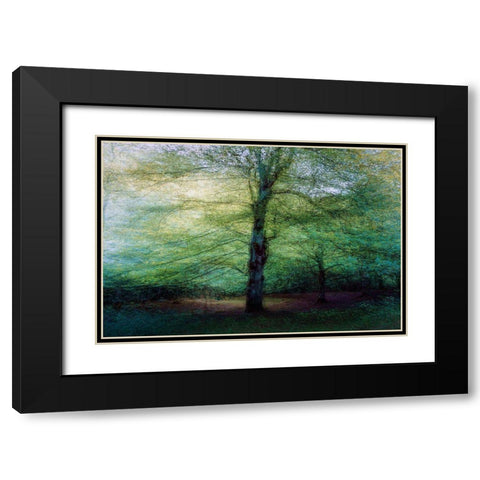 Forest Black Modern Wood Framed Art Print with Double Matting by Antonio Cobo, Marco