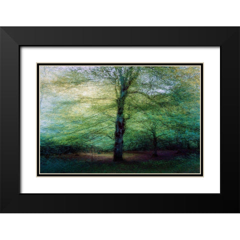 Forest Black Modern Wood Framed Art Print with Double Matting by Antonio Cobo, Marco