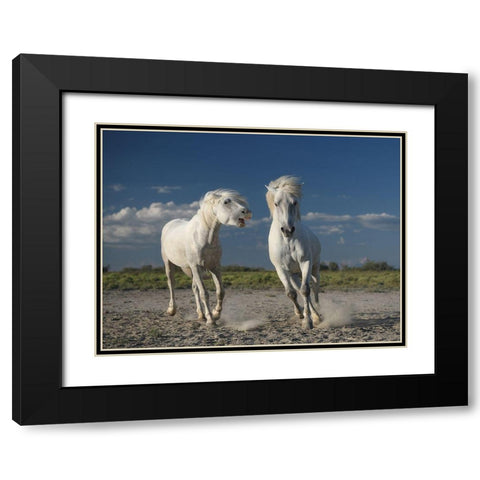 White Horses Black Modern Wood Framed Art Print with Double Matting by Anton, Rostovskiy