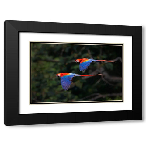 The Couple Black Modern Wood Framed Art Print with Double Matting by Feng, Young