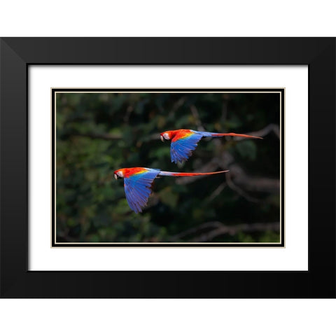 The Couple Black Modern Wood Framed Art Print with Double Matting by Feng, Young