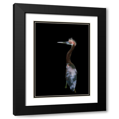 Bad Haired Day Black Modern Wood Framed Art Print with Double Matting by Zhu, Eddie