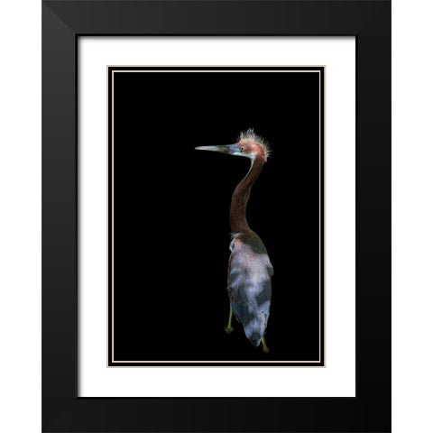 Bad Haired Day Black Modern Wood Framed Art Print with Double Matting by Zhu, Eddie