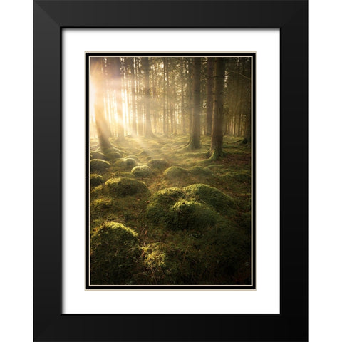 In The Woods Black Modern Wood Framed Art Print with Double Matting by Lindsten, Christian
