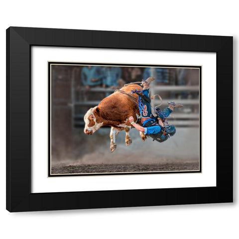 Bull Riding Black Modern Wood Framed Art Print with Double Matting by Ma, Frank