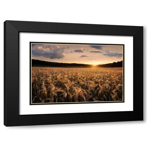 Fields Of Gold Black Modern Wood Framed Art Print with Double Matting by Lindsten, Christian