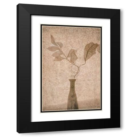 Still Life Black Modern Wood Framed Art Print with Double Matting by Tokarev, Igor