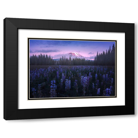 Adams Lupine Black Modern Wood Framed Art Print with Double Matting by Bandyopadhyay, Atanu