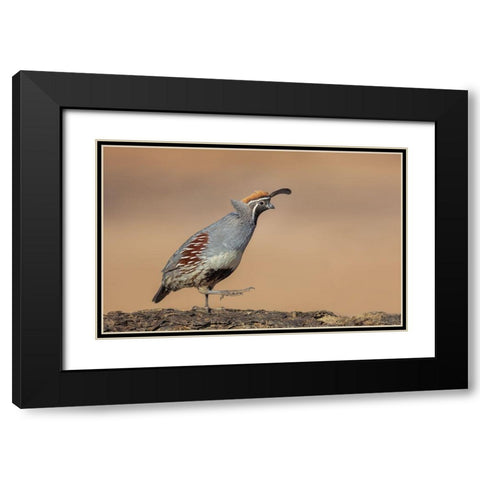 Forward-March! Black Modern Wood Framed Art Print with Double Matting by Barsh, Greg