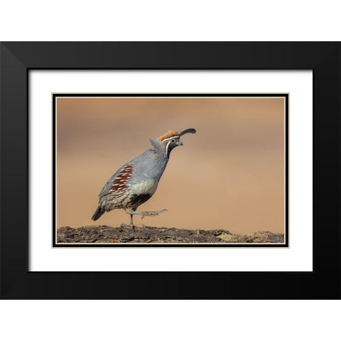 Forward-March! Black Modern Wood Framed Art Print with Double Matting by Barsh, Greg