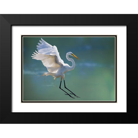 Untitled Black Modern Wood Framed Art Print with Double Matting by Cloud, Mountain