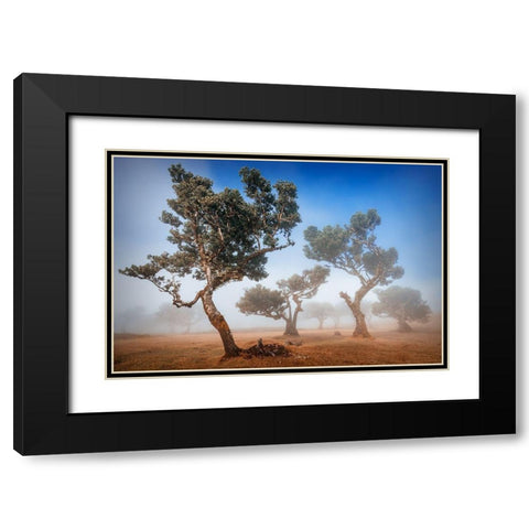 Fanal Black Modern Wood Framed Art Print with Double Matting by Popan, Adrian