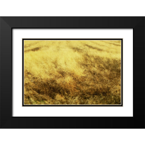 Golden Waves Black Modern Wood Framed Art Print with Double Matting by Kravanja, Jure
