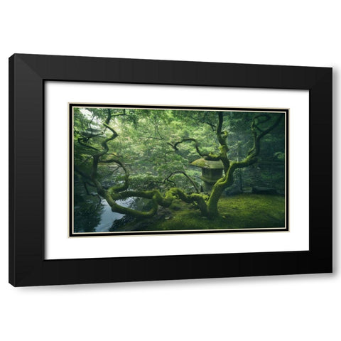 Japanese Tree Black Modern Wood Framed Art Print with Double Matting by De La, Javier