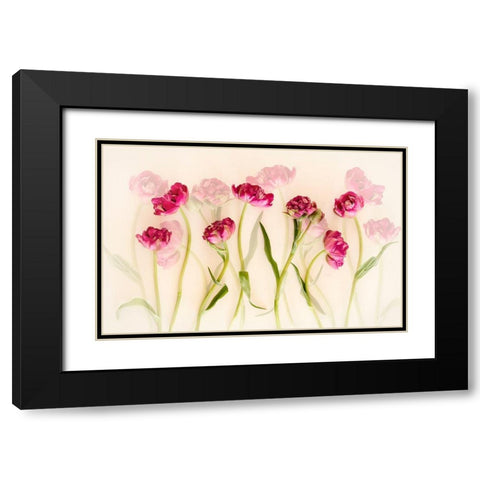Tulips Black Modern Wood Framed Art Print with Double Matting by Van Deelen, Ellen