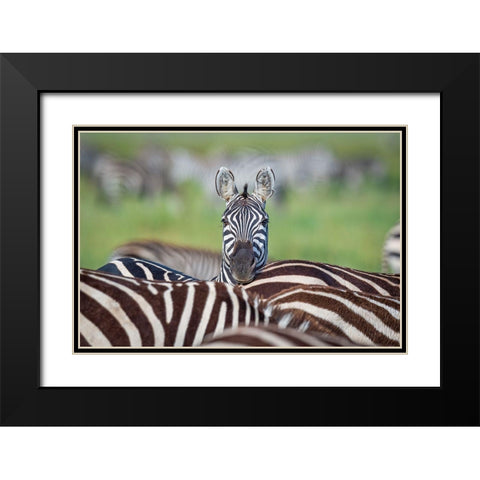 Make A Difference....Stand Out In The Crowd Black Modern Wood Framed Art Print with Double Matting by C. Sink, Jeffrey