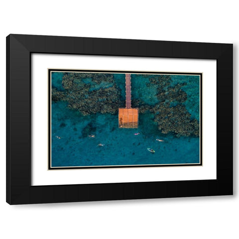 Coral Escape Black Modern Wood Framed Art Print with Double Matting by Meirovich, Ido
