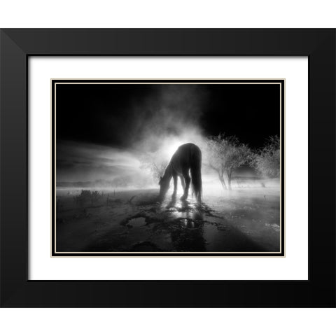 The winter Black Modern Wood Framed Art Print with Double Matting by Z, Bingo