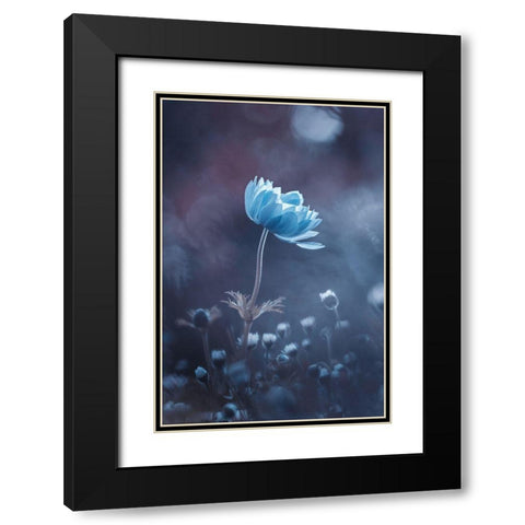 A Short Story Of Flower Black Modern Wood Framed Art Print with Double Matting by Bravin, Fabien