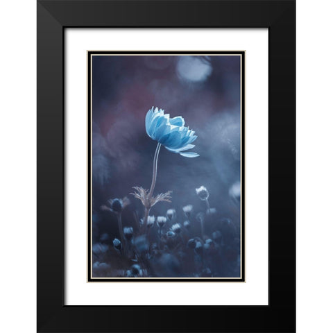 A Short Story Of Flower Black Modern Wood Framed Art Print with Double Matting by Bravin, Fabien