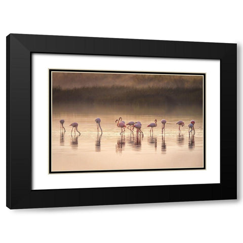 Photographic Ode To Monet Black Modern Wood Framed Art Print with Double Matting by C. Sink, Jeffrey