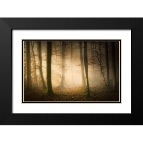 November Whispers Black Modern Wood Framed Art Print with Double Matting by Maier, Norbert