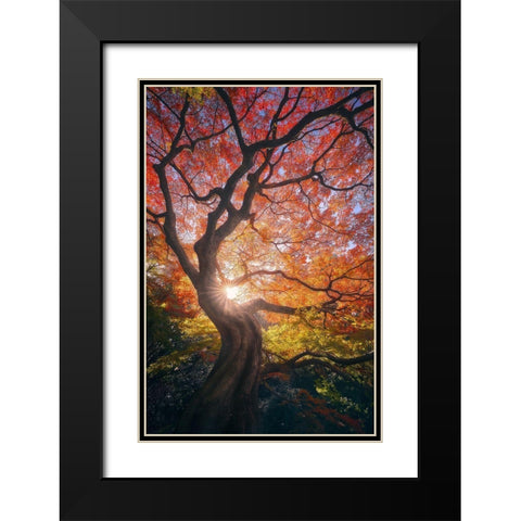 The Japanese Tree Black Modern Wood Framed Art Print with Double Matting by De La, Javier