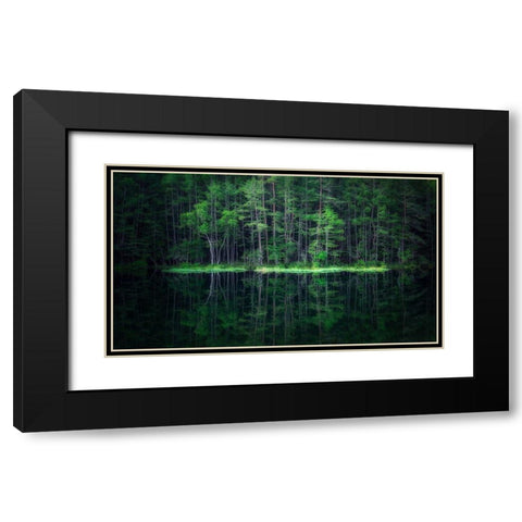 Green World Black Modern Wood Framed Art Print with Double Matting by Mitamura, Takeshi