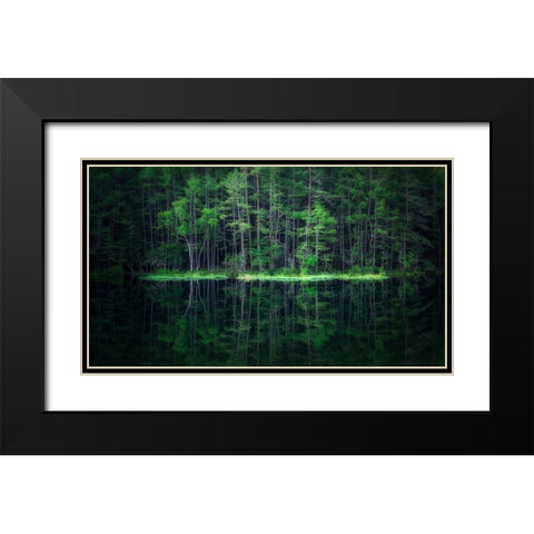Green World Black Modern Wood Framed Art Print with Double Matting by Mitamura, Takeshi