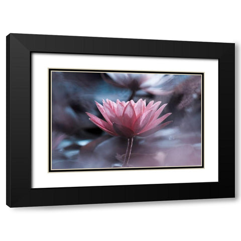 Silence Black Modern Wood Framed Art Print with Double Matting by Bravin, Fabien