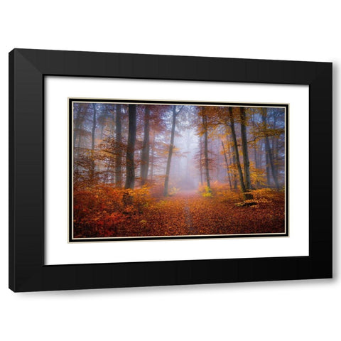 October Trail Black Modern Wood Framed Art Print with Double Matting by Maier, Norbert