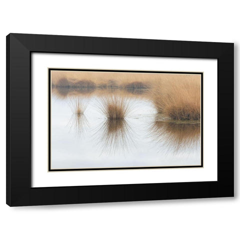 Piping Straw Black Modern Wood Framed Art Print with Double Matting by Cornelis, Ann
