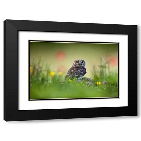 Red Balls Black Modern Wood Framed Art Print with Double Matting by Redaelli, Marco