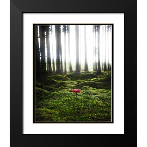 Red Mushroom In The Green Forest Black Modern Wood Framed Art Print with Double Matting by Lindsten, Christian