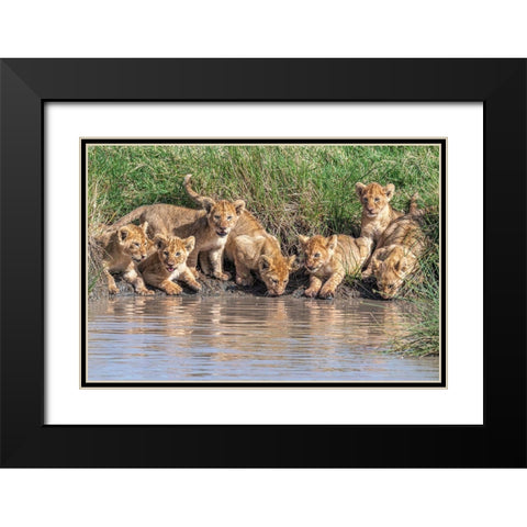 Putting The Band Back Together.... Black Modern Wood Framed Art Print with Double Matting by C. Sink, Jeffrey