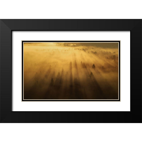 Morning In The Forest Black Modern Wood Framed Art Print with Double Matting by Krivec, Ales