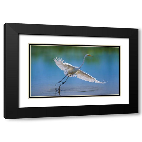 Untitled Black Modern Wood Framed Art Print with Double Matting by Cloud, Mountain