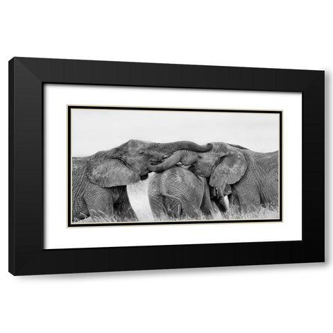 Elephant Playing Black Modern Wood Framed Art Print with Double Matting by Zuo, Jun