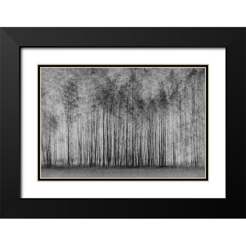 Impenetrable Forest Black Modern Wood Framed Art Print with Double Matting by Schleicher-Schwarz, Roswitha