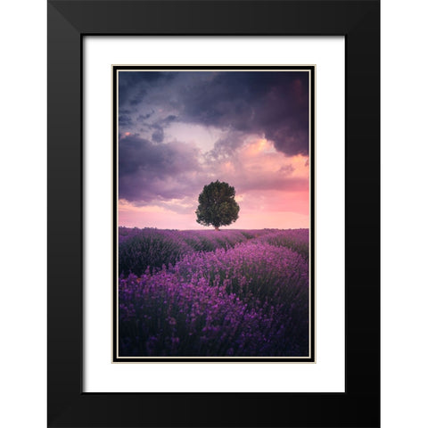 Lavender Fields, Isparta Black Modern Wood Framed Art Print with Double Matting by Cevik, Cuma