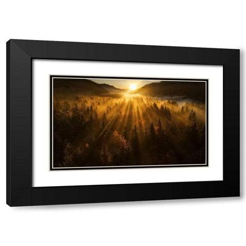 Aerial Shot Of An Autumn Forest Black Modern Wood Framed Art Print with Double Matting by Krivec, Ales