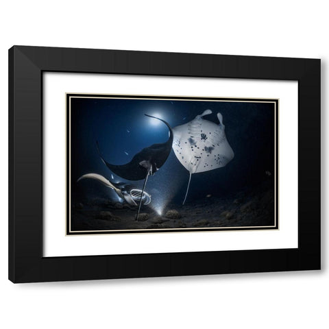 Mantas Night Out Black Modern Wood Framed Art Print with Double Matting by Lu, Jennifer