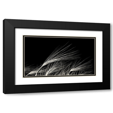 Grain Of Life Black Modern Wood Framed Art Print with Double Matting by Claes, Gilbert