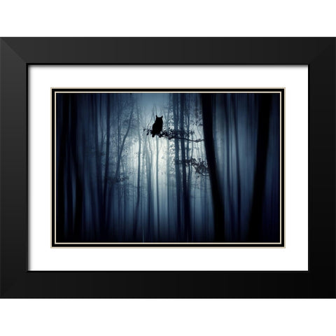 In The Forest Black Modern Wood Framed Art Print with Double Matting by Erika, Eros