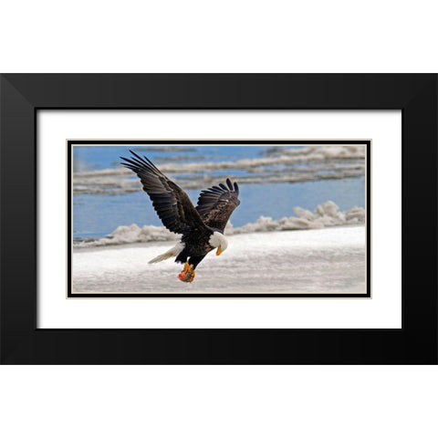 The Prize Black Modern Wood Framed Art Print with Double Matting by Hallkc