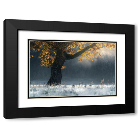 Morning Breath Black Modern Wood Framed Art Print with Double Matting by Saowanee, Suntararak