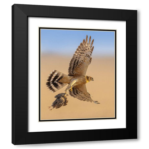 Untitled Black Modern Wood Framed Art Print with Double Matting by Sobhi, Ahmed